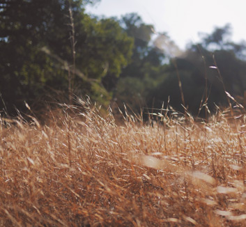 谁跑动谁防守？皇马引进姆巴佩时，就应该知道这样的结果，皇马官宣姆巴佩