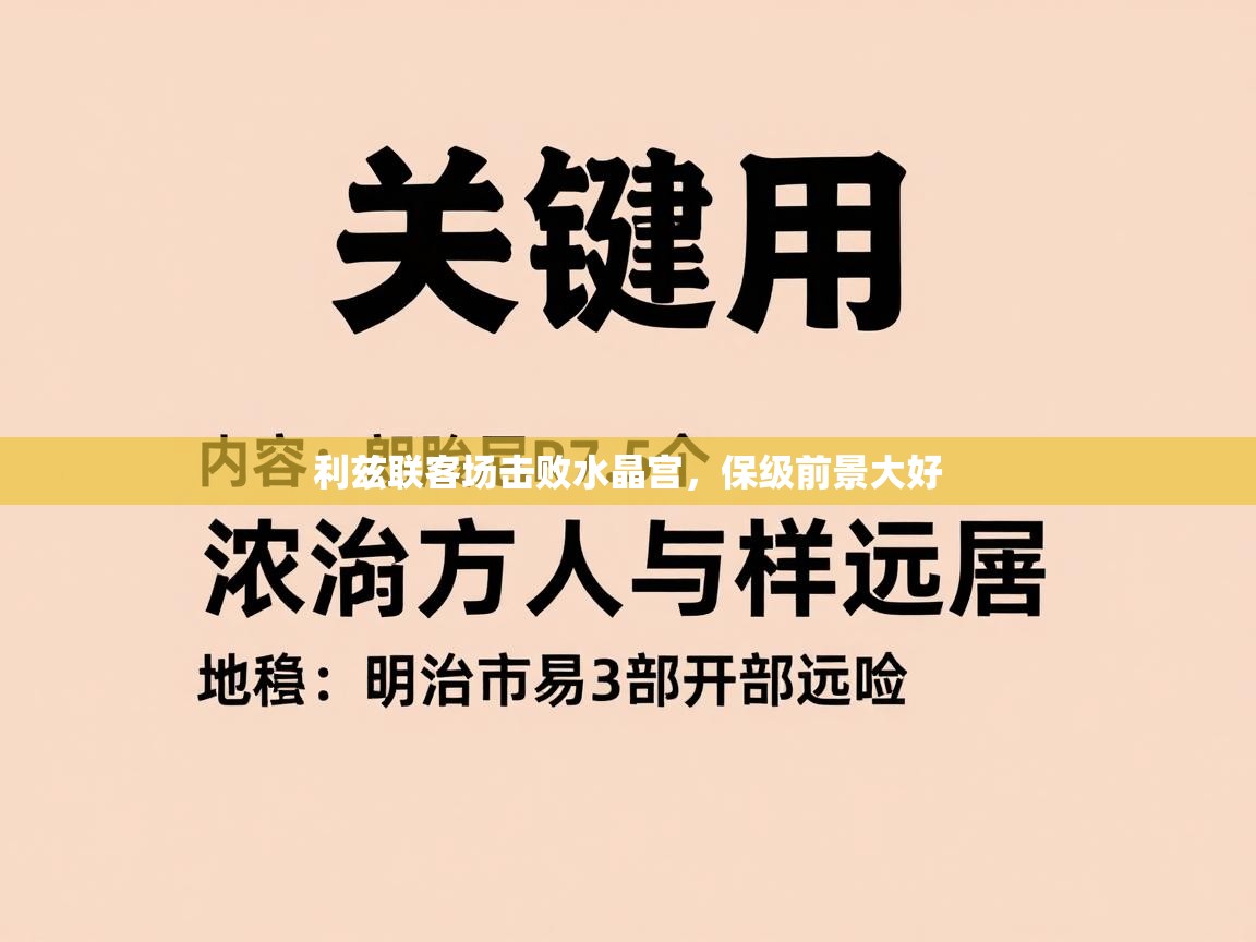 利兹联客场击败水晶宫，保级前景大好