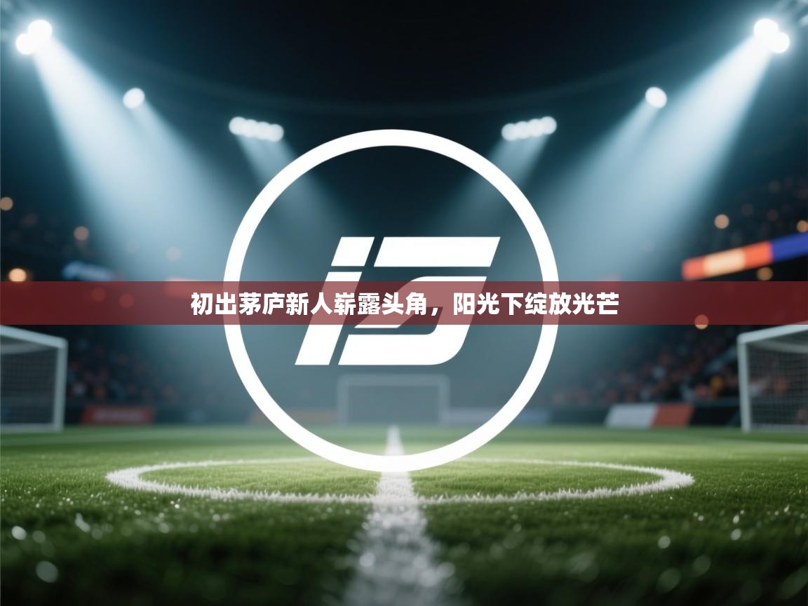 初出茅庐新人崭露头角，阳光下绽放光芒