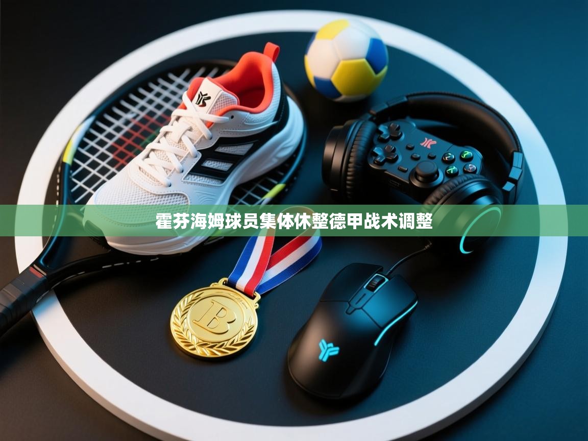 霍芬海姆球员集体休整德甲战术调整